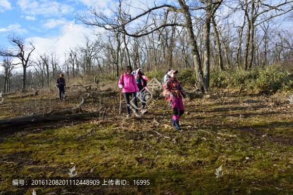 登山者,徒步者