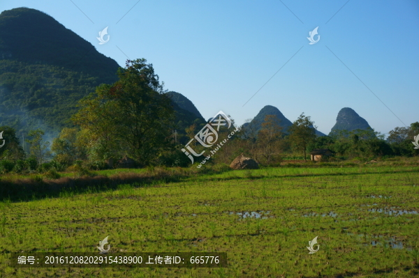秋景