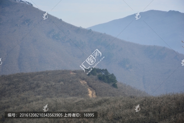 七尖,天目山