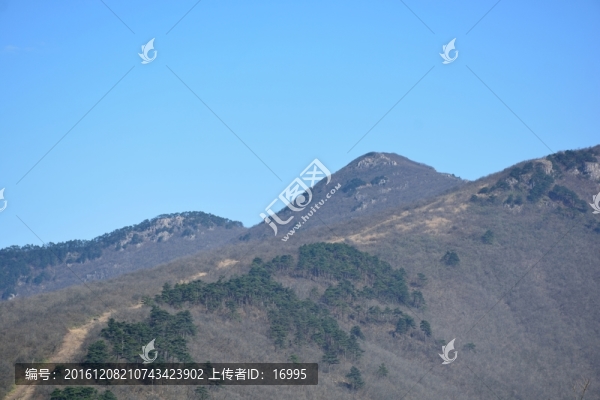 七尖,天目山