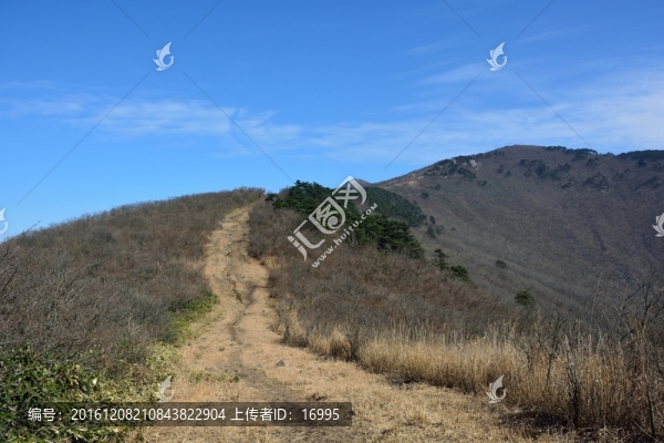 七尖,天目山