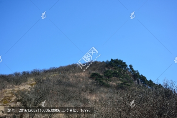 天目山,七尖山