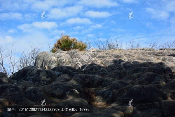 天目山,龍鱗坡
