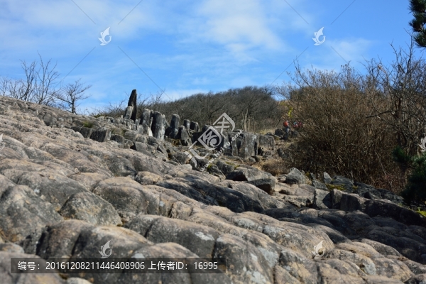 七尖山龍鱗坡,天目山