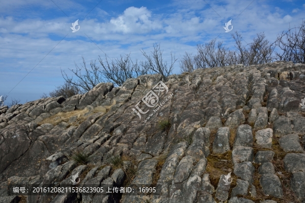 七尖山龍鱗坡,天目山