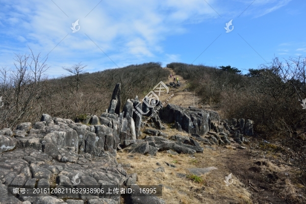 七尖山龍鱗坡,天目山