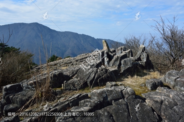 七尖山龍鱗坡,天目山