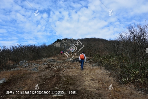 登山者,戶外
