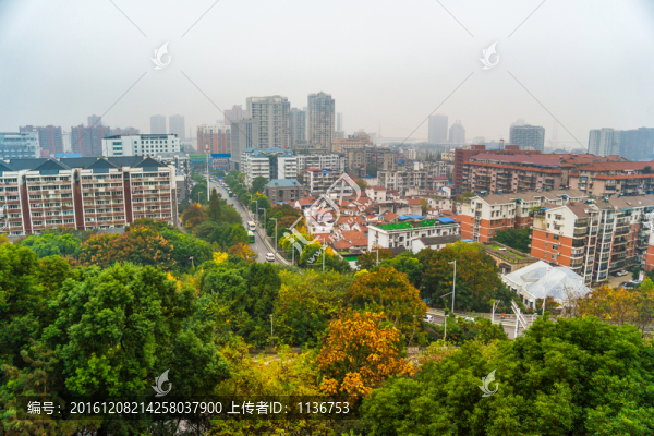 鳥瞰城市