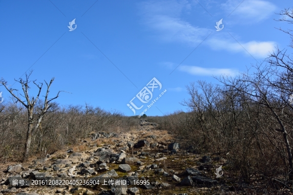 天目山自然保護區(qū)