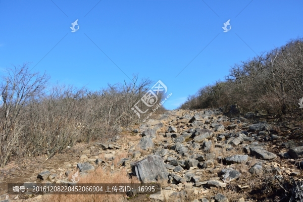 天目山自然保護(hù)區(qū)