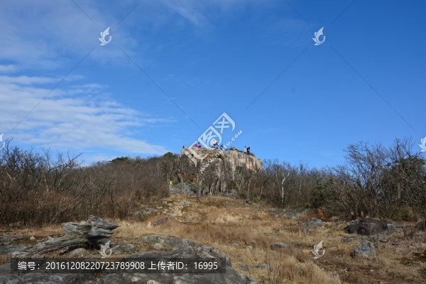 天目山自然保護(hù)區(qū)