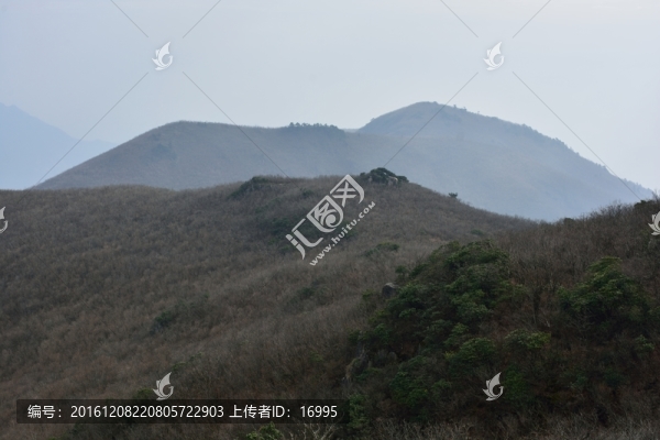 天目山自然保護(hù)區(qū)