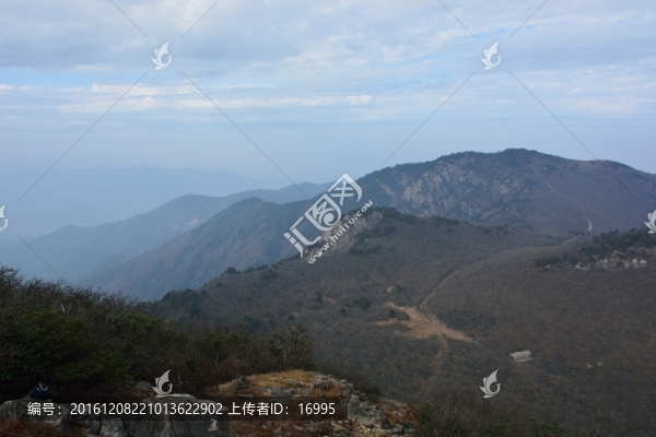 天目山自然保護(hù)區(qū)