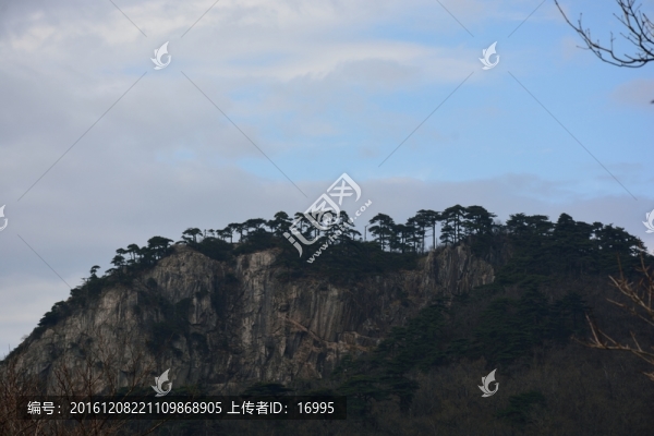 七尖,天目山