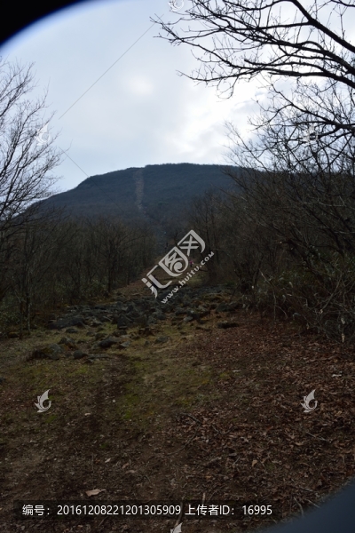 天目山自然保護(hù)區(qū)