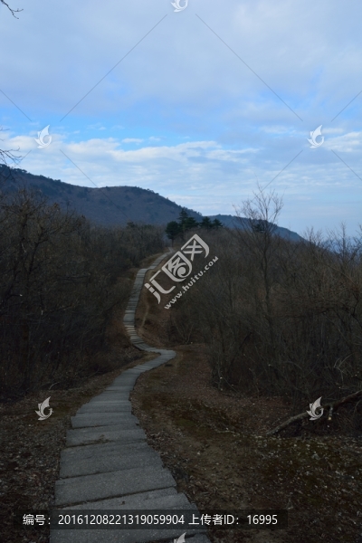 天目山自然保護(hù)區(qū)