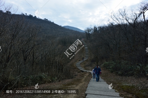 天目山自然保護(hù)區(qū)