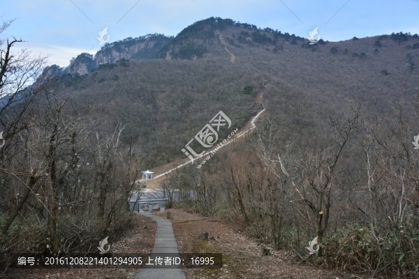 天目山自然保護(hù)區(qū)