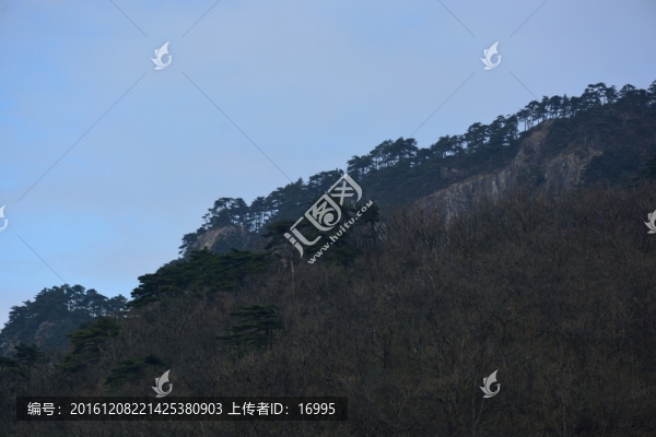 天目山自然保護(hù)區(qū)