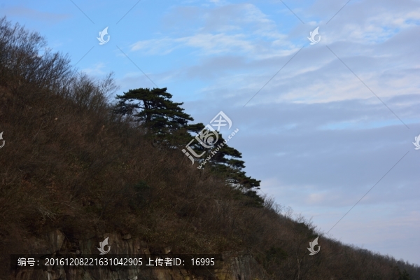 天目山自然保護區(qū)