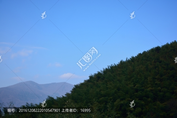 天目山自然保護(hù)區(qū)