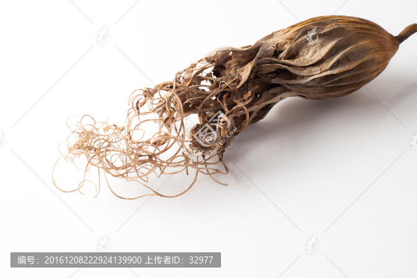 枯葉