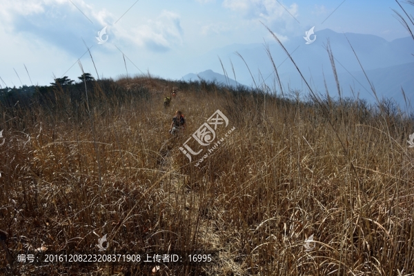 天目山自然保護區(qū)