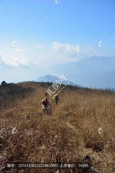 天目山自然保護(hù)區(qū)