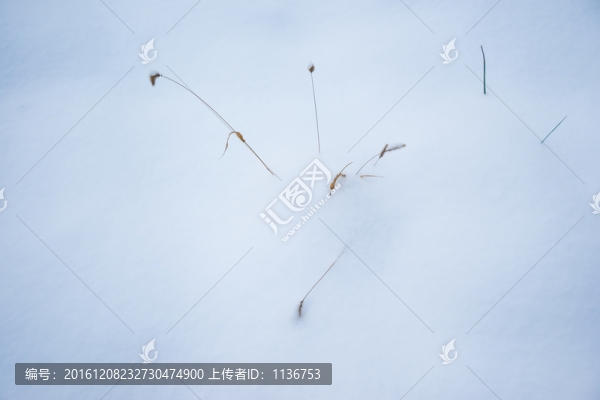 山野雪地