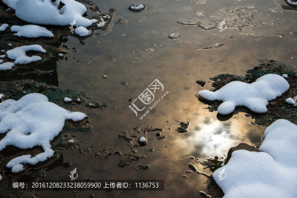 冬雪