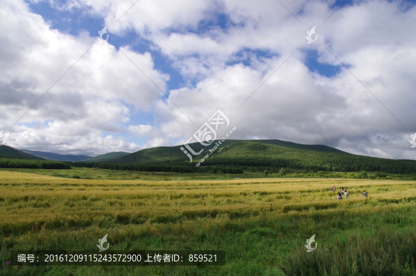 阿爾山沿途風(fēng)光