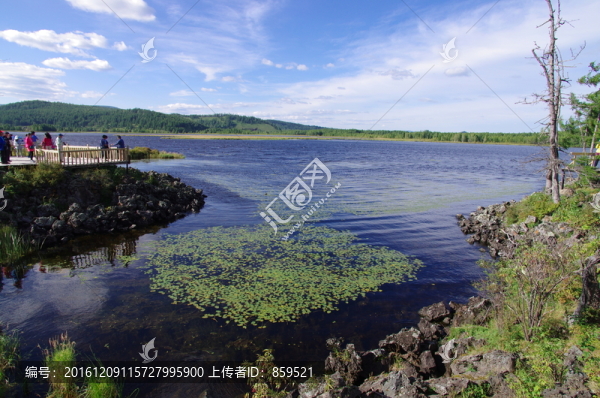 阿爾山杜鵑湖