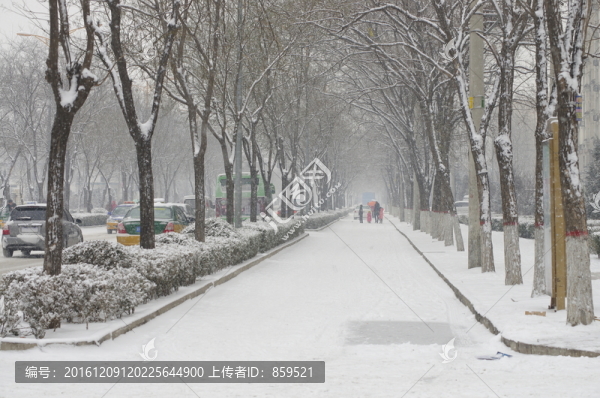 大雪街道