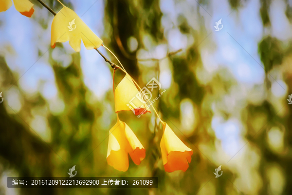 秋色,高清無(wú)噪