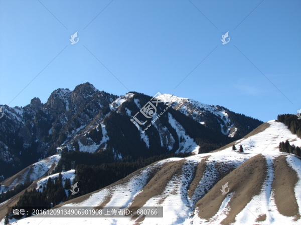 雪景