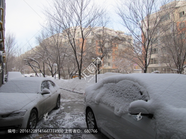 積雪的車