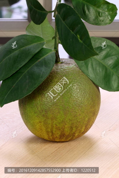有機(jī)甜橙