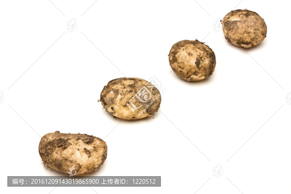 林肯新土豆