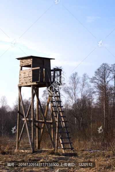 木結(jié)構(gòu)