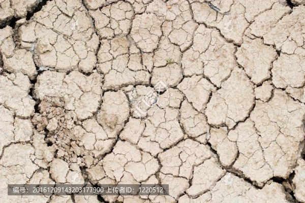 地面-匯圖網(wǎng) www.fosd68.com 地面