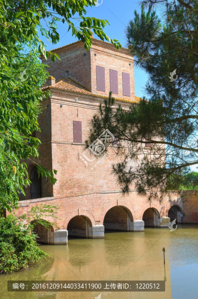 阿巴特塔。Mesola。Emilia,Romagna。意大利.