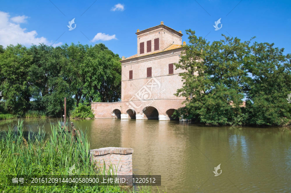 阿巴特塔。Mesola。Emilia,Romagna。意大利.