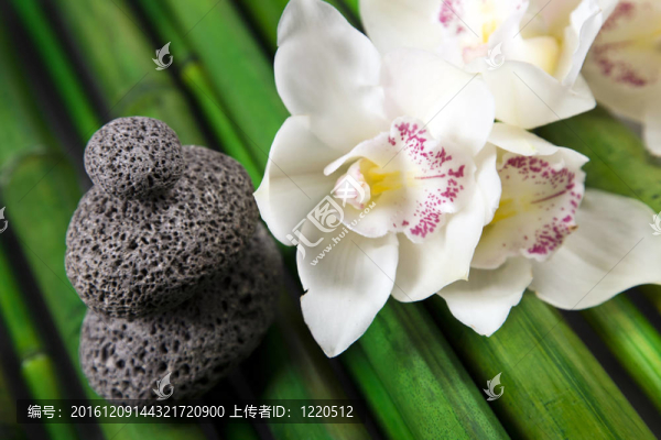 禪與松弛