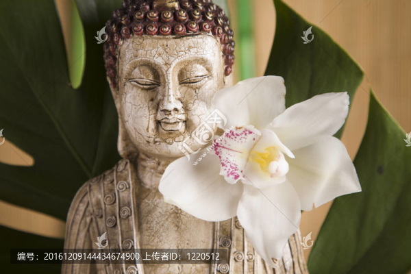 如來佛祖特寫；宗教觀