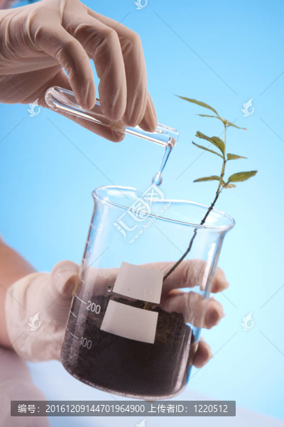 植物在實驗室