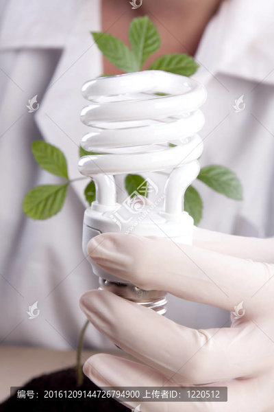植物在實驗室
