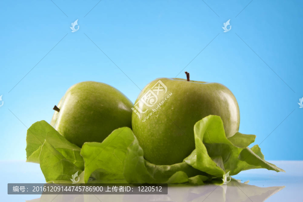 食品補(bǔ)充劑；健康飲食