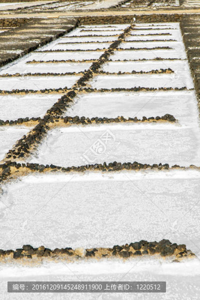 生理鹽水的janubio鹽盆地