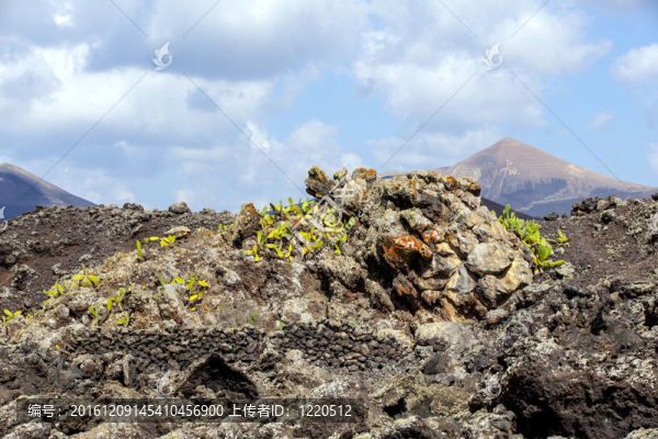 冷火山流詳細(xì)